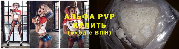 гашик Алексин