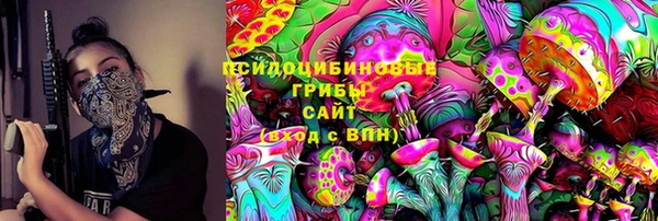 гашик Алексин