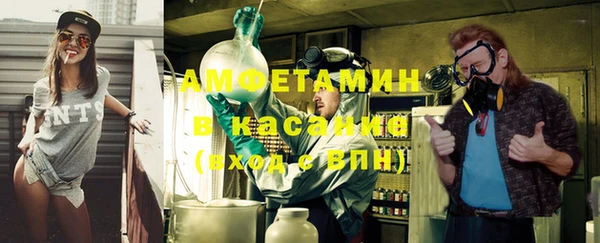 гашик Алексин